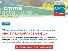 CMMA Actu N°65 - Septembre 2025