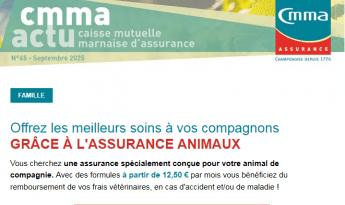 CMMA Actu N°65 - Septembre 2025