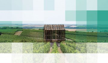 Découvrez le circuit des loges de vignes