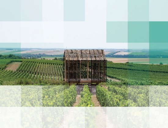 Découvrez le circuit des loges de vignes